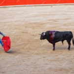 bull-regarde-fixement-cape-rouge-dans-main-du-toreador-lors-corrida-tenue-arene-tauromachie-monumental-barcelone-espagne_250132-6942