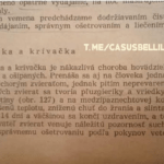 Bolo na internete - poznámka faQe19QlSWv6m8G4